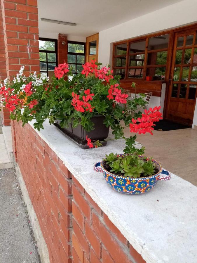 Apartman Dunja I Milos 모크라 고라 외부 사진