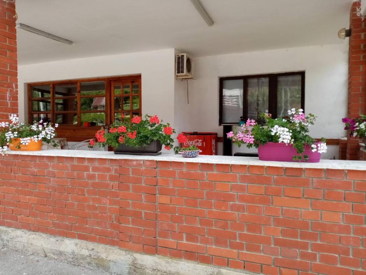Apartman Dunja I Milos 모크라 고라 외부 사진